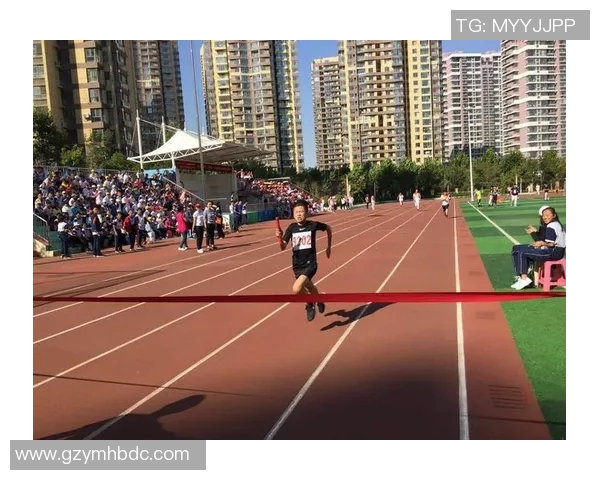 张磊的排球人生深度对话探索运动背后的坚持与梦想