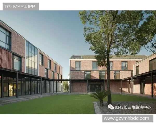 攀岩深度探秘武汉攀岩队的运营模式与发展之路