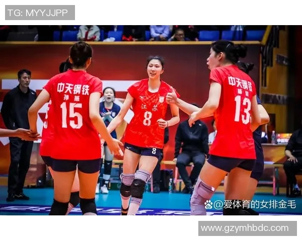 北京排球队状态引发热议球迷与专家观点大相径庭